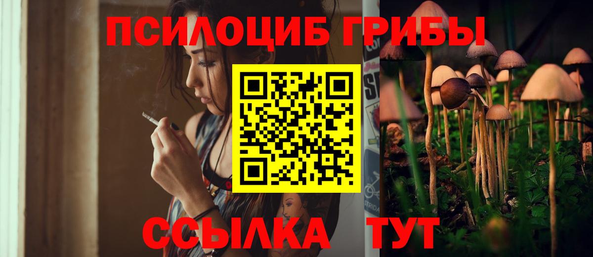 МЕФ Северск