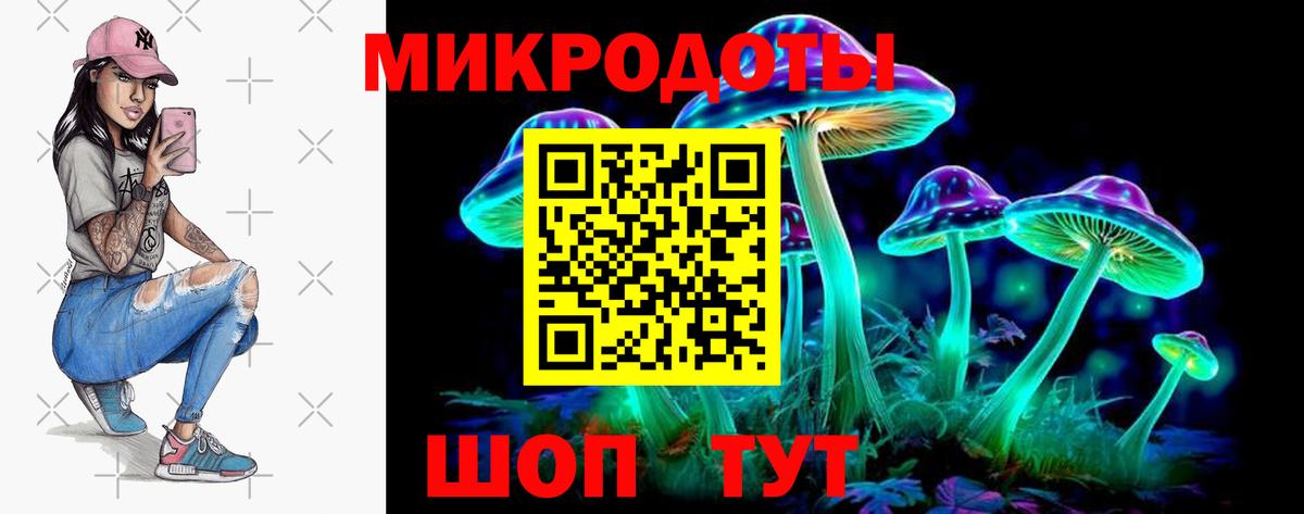 Псилоцибиновые грибы Psilocybine cubensis Северск