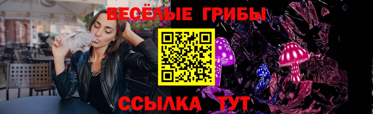 Северск  сколько стоит  Вход с VPN  Псилоцибиновые грибы мухоморы  Галлюциногенные грибы Cubensis 